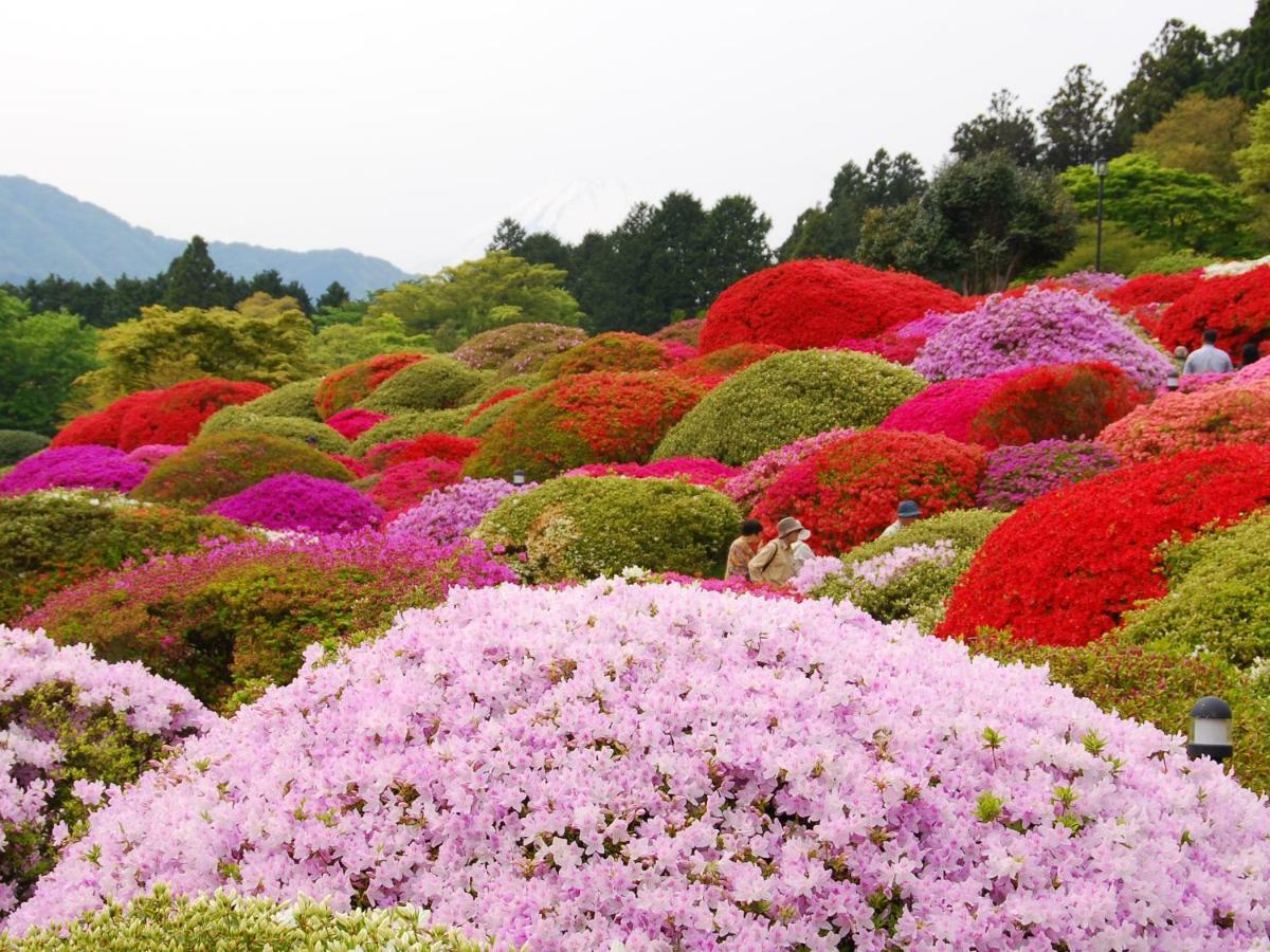 Taisho Modern Villa Zen Hakone Bagian luar foto